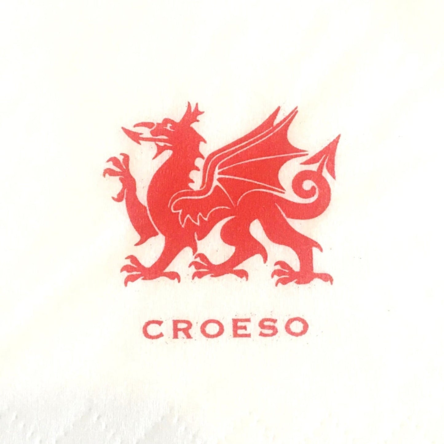Croeso/Welcome - Welsh Dragon Napkins 33cm 2ply (Pack 250) (Pack 2000)